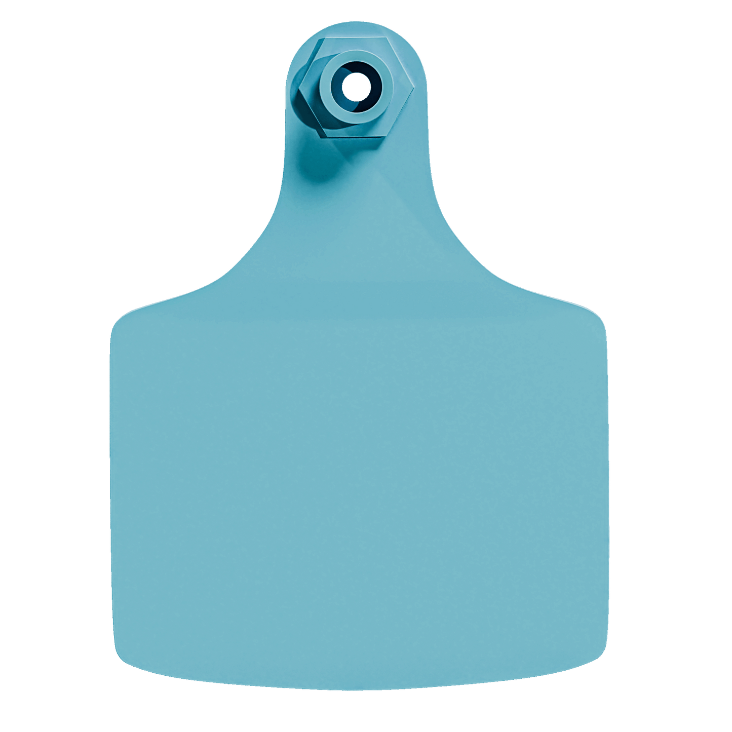 Blank Female Maxi