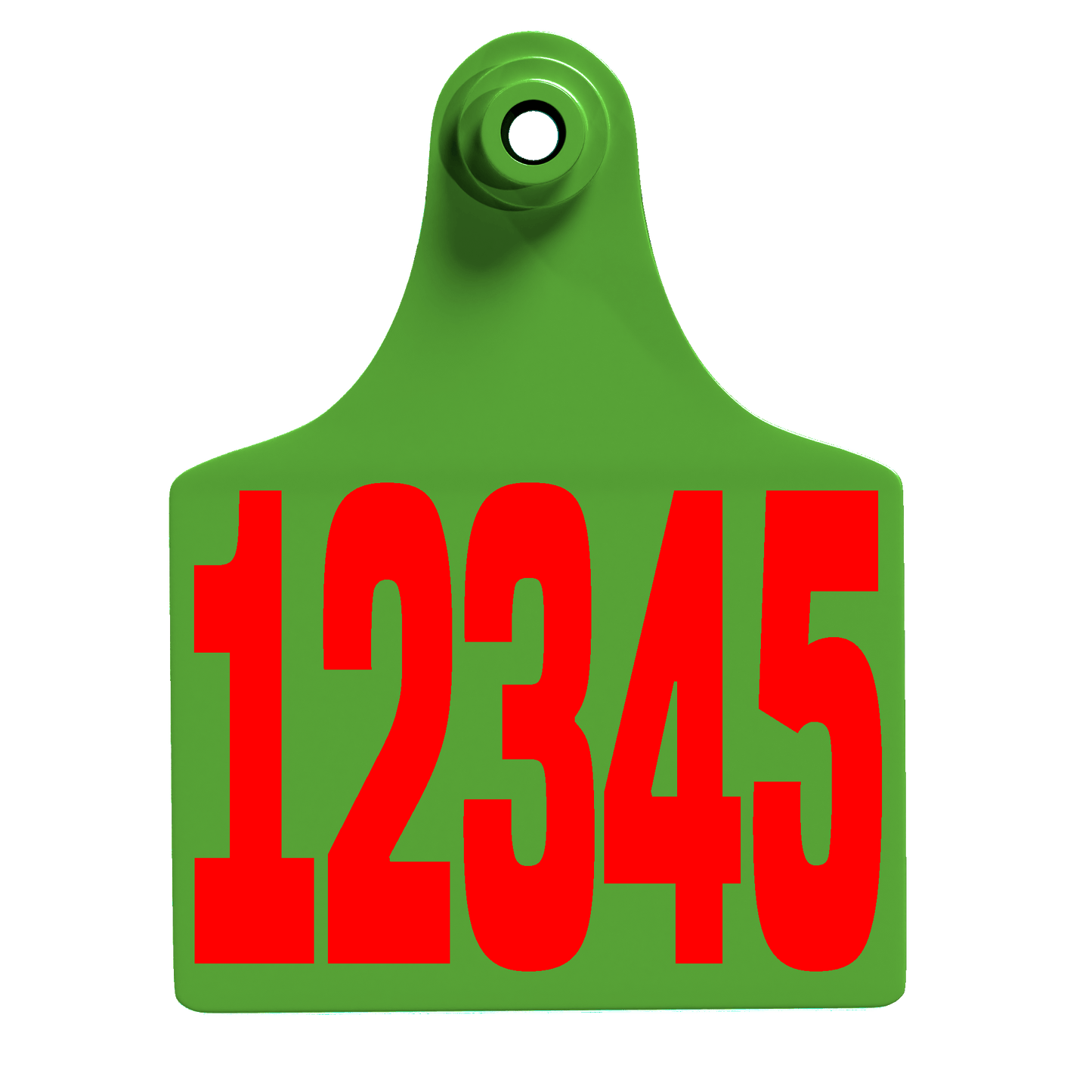 Female Maxi - Layout 01