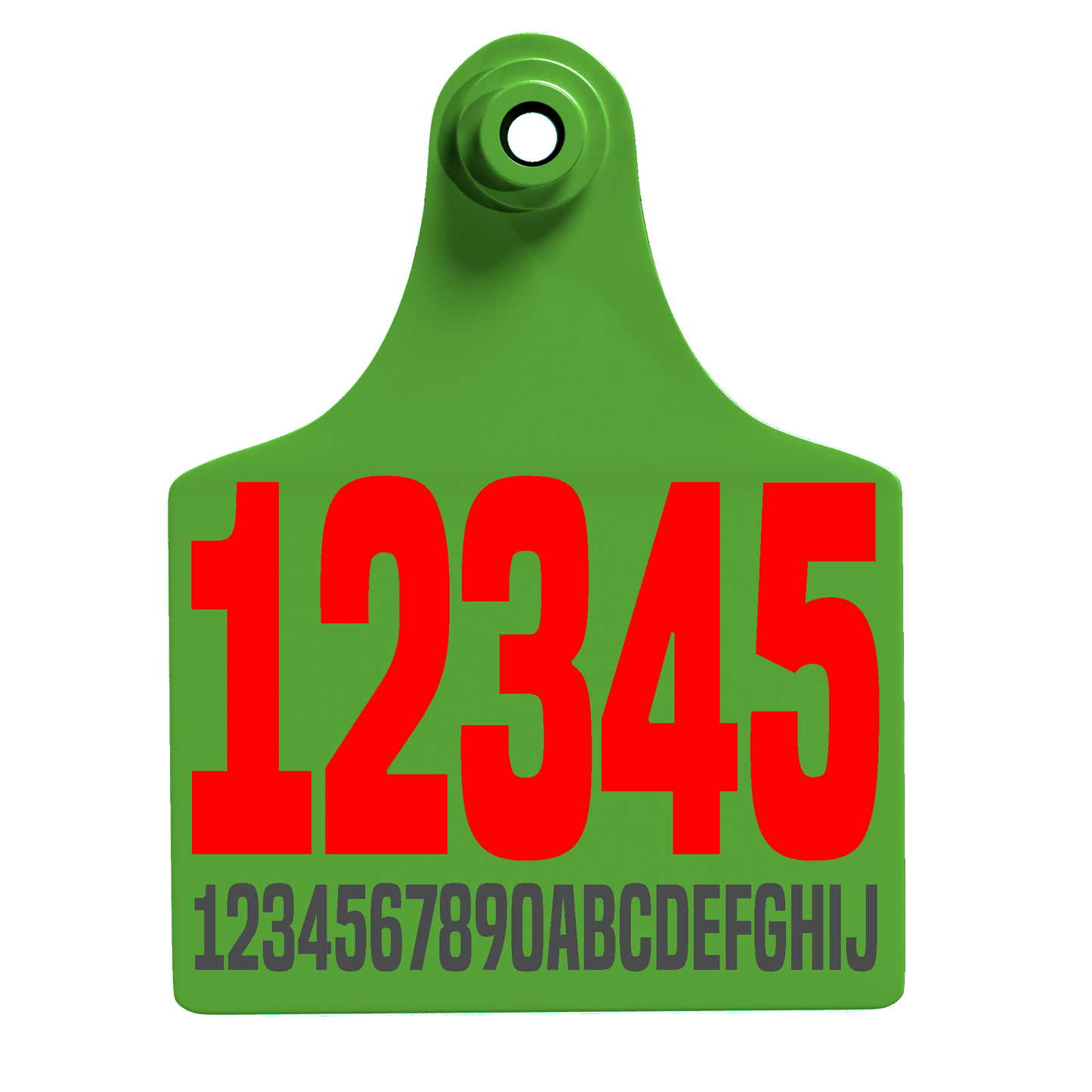 Female Maxi - Layout 03