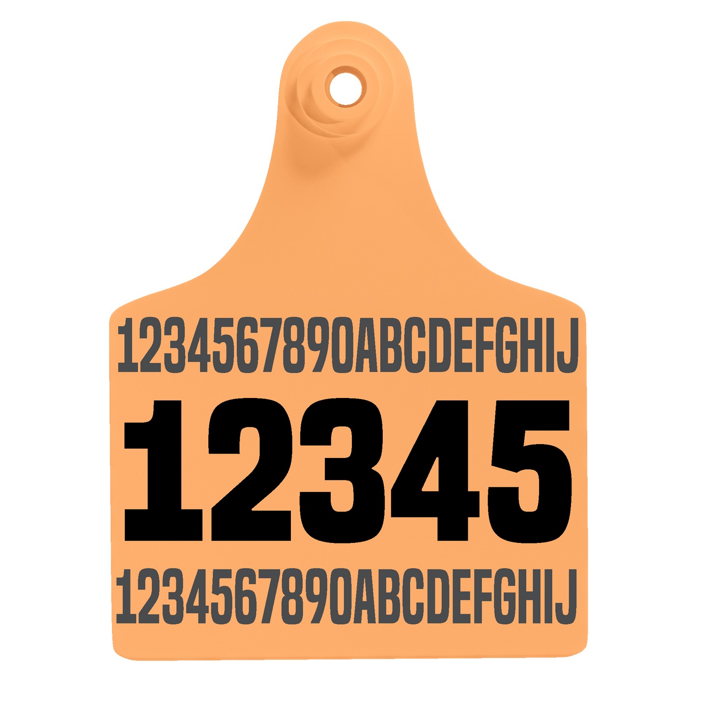 Female Maxi - Layout 04