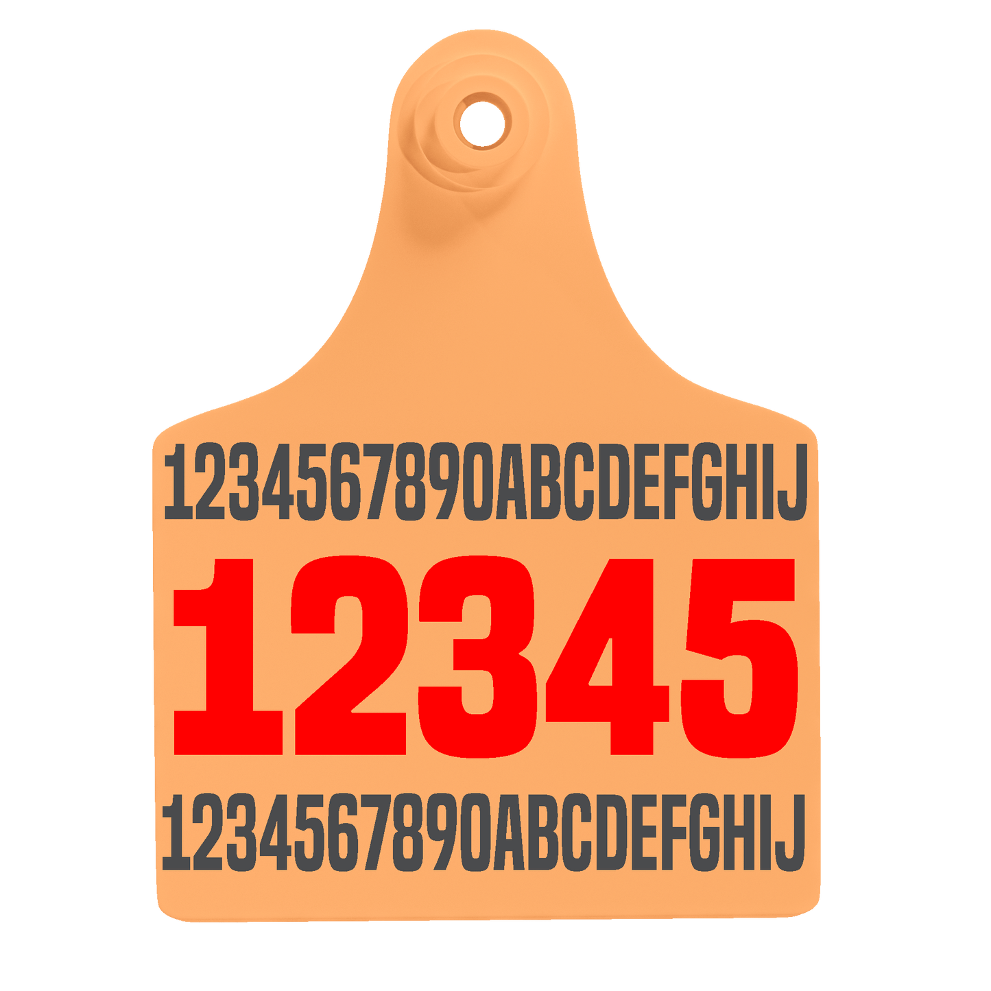 Female Maxi - Layout 04