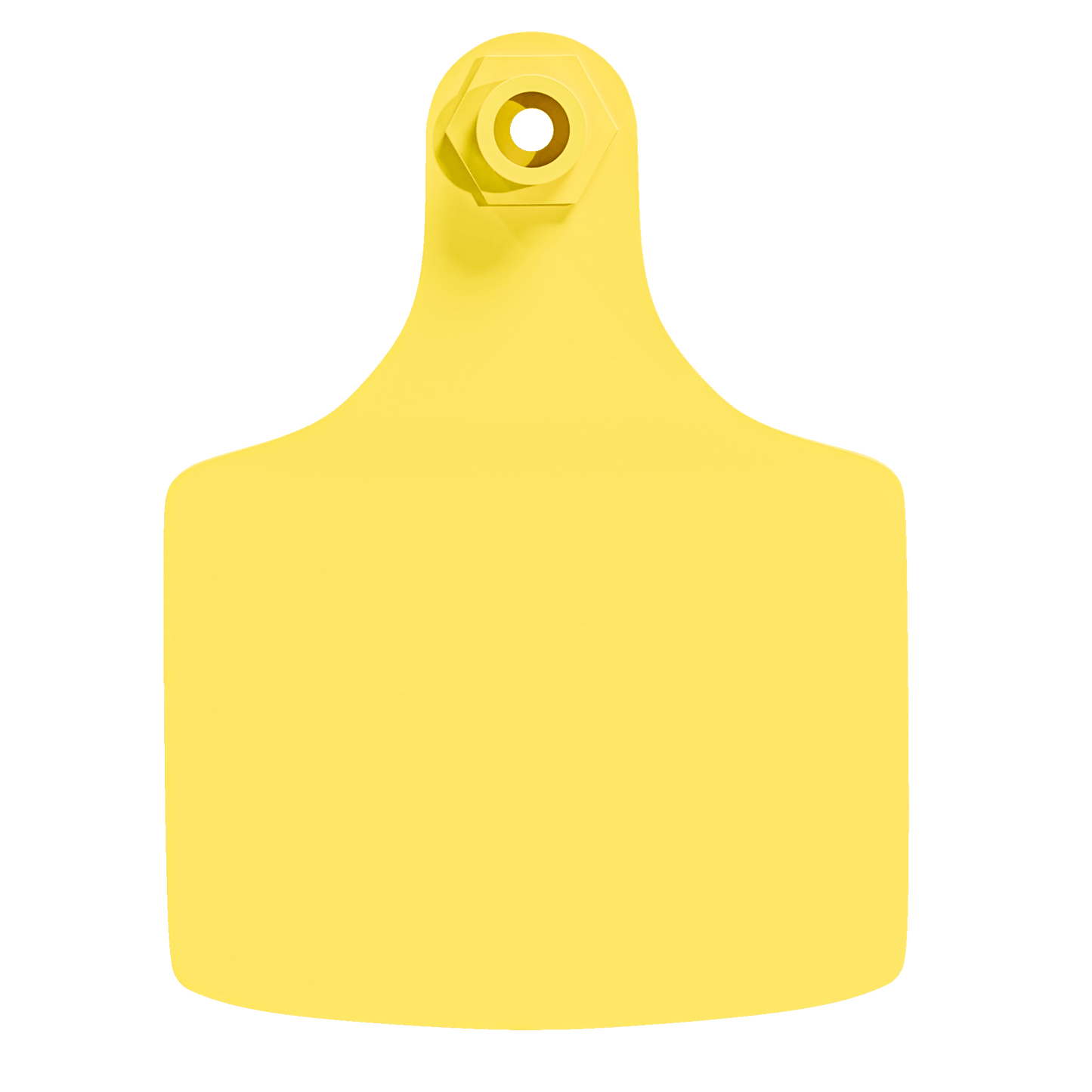 Blank Female Maxi
